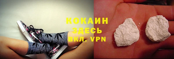мяу мяу мука Алексеевка