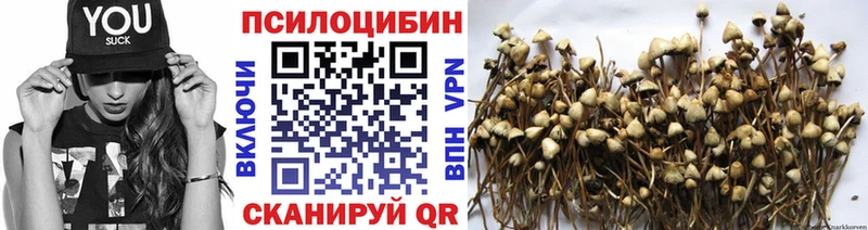 kraken зеркало  Белебей  Галлюциногенные грибы Psilocybine cubensis 